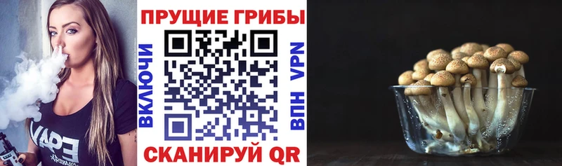 blacksprut ТОР Переславль-Залесский Псилоцибиновые грибы Cubensis